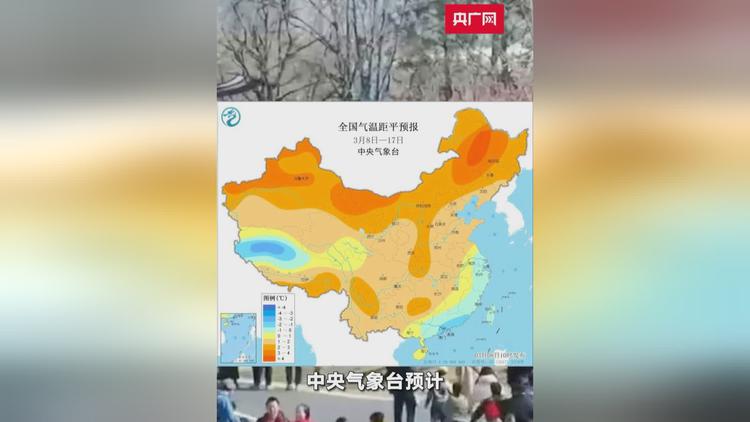 天津市东丽区天气